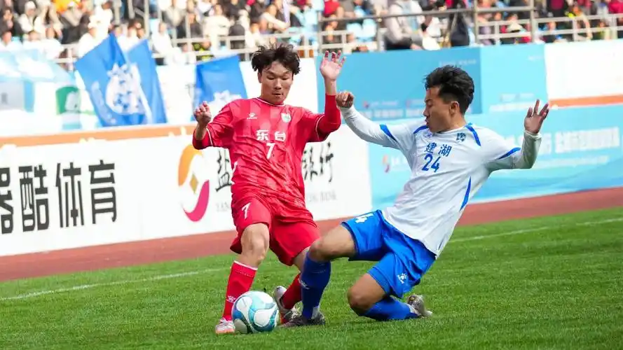 非洲杯：塞内加尔 VS 尼日利亚